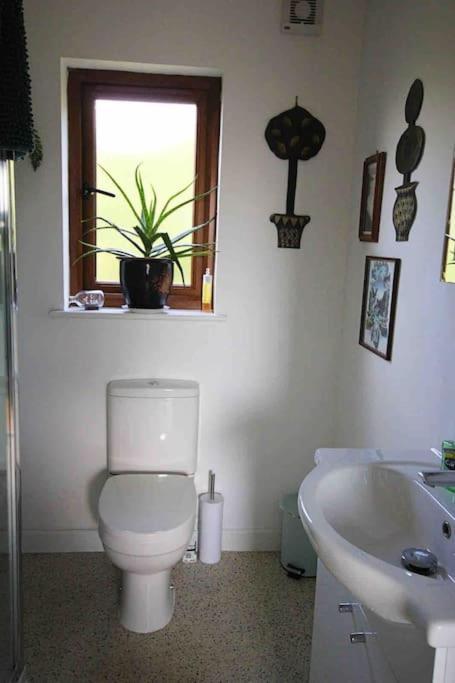 Spacious Cabin On Isolated Farm With Sea View Bude Kültér fotó
